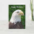 Search for bald eagle birthday cards Raptor