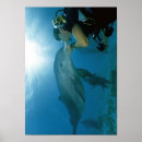 Recherche de underwater posters Fish