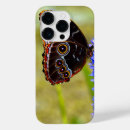 Search for blue butterflies iphone cases Wildlife