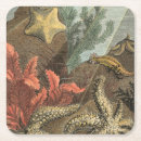 Search for aquatic coasters Shell