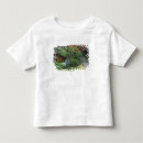 Search for kyoto tshirts Okochi sanso