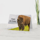 Search for american indian cards West