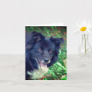 Search for smile note cards Cute