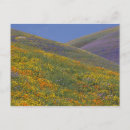 Search for flower meadow postcards Environment