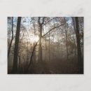 Search for light wood postcards Autumn