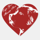 Search for newfoundland dog stickers Pets