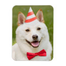 Recherche de importation magnets Drôle