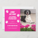Recherche de canines invitations Dogs