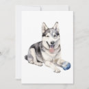 Search for vector art cards Pet