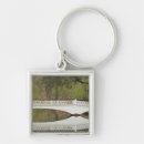 Search for spanish moss Bridge