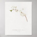 Recherche de agrumes art Illustration