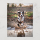 Search for puddle postcards Cute