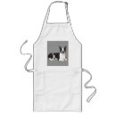 Search for boston terriers aprons Puppy