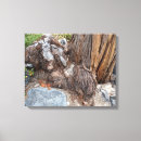 Search for lake tahoe art Beautiful