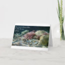 Search for ancients cards Photography