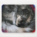 Recherche de boue tapis souris Chaton