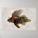 Search for scientific illustration posters Sea