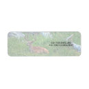 Search for buck return address labels Animal