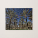 Recherche de le sahara puzzles Beauté dans la nature