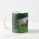 Search for fluffy sheep mugs Cute