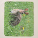 Search for cute rabbit blankets Wildlife