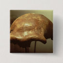 Search for primitiveness buttons Homo