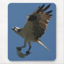 Search for ospreys mousepads Animal