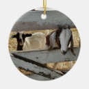 Search for goat christmas decor Pet