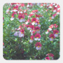 Search for rare stickers Nature