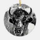 Search for yellowstone ornaments Montana