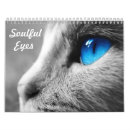 Search for ey calendars Cat