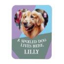 Recherche de mon de coeur magnets Pour eux