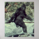Search for finding bigfoot posters Gone squatchin