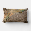Search for lizard pillows Nature