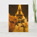 Search for cat lover cards Pet lovers