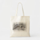 Search for arabians bags Study