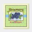 Recherche de bleuet magnets Fruit