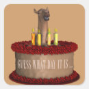 Search for funny camel stickers Humourous