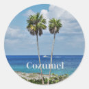 Search for cozumel stickers Caribbean