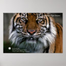 Recherche de smithsonien posters Photographie