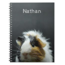 Search for guinea pig notebooks Adorable