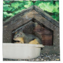 Search for squirrel shower curtains Leaves