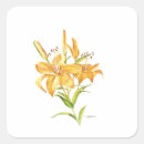 Search for tiger lily stickers Botanical