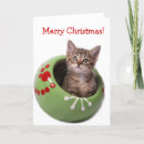 Recherche de chaton blanc vœux cartes Vert