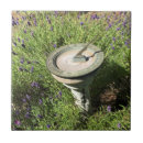 Recherche de solaire carreaux Jardin