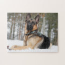 Recherche de berger puzzles Neige