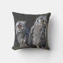 Recherche de jeune hibou Hiboux