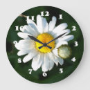 Recherche de marguerite blanche horloges Marguerie