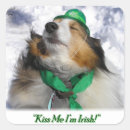 Recherche de shamrock autocollants Chance