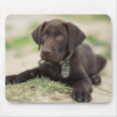 Search for lab mousepads Puppy